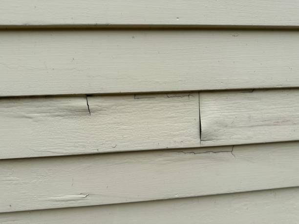 Best Siding Painting and Refinishing  in Exeter, PA